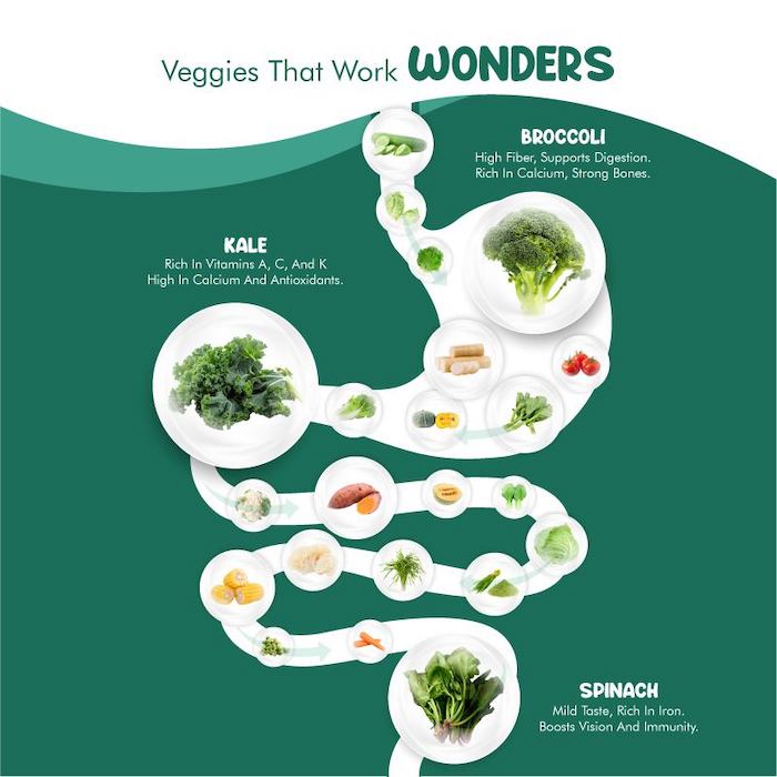 hanya freeze dried vege bites healthy high fibre veggie vegetables and fruits biscuits cracker 蔬菜水果健康高纤维零食饼干